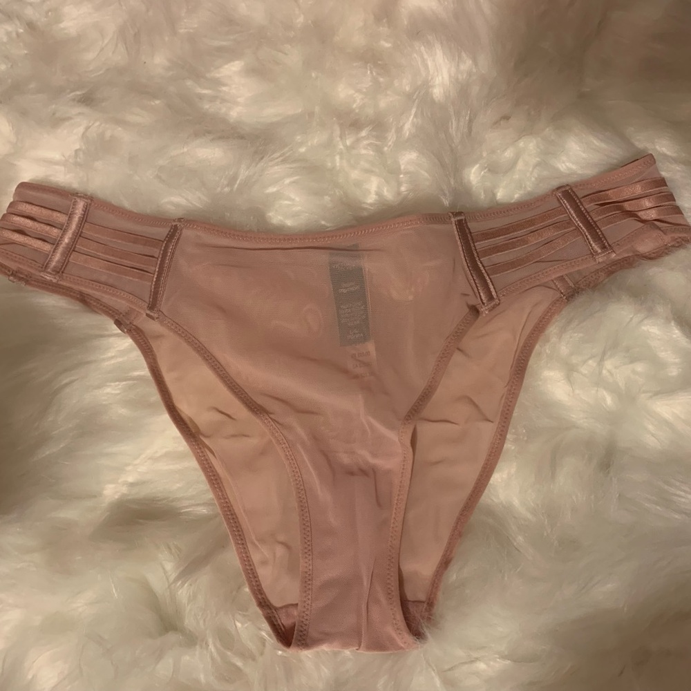 VICTORIAS SECRET LUXE LINGERIE MESH CHEEKY PANTY SHEER NWT